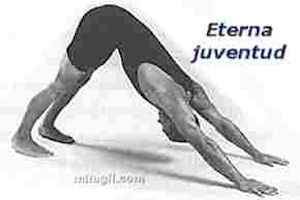 ejercicios-eterna-juventud